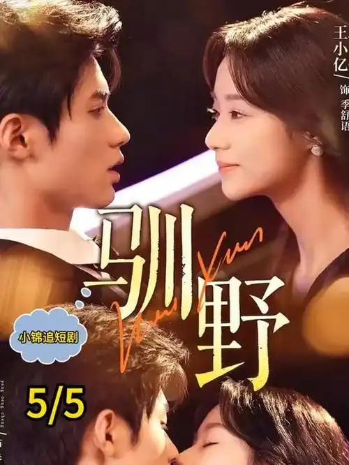 十七号拳台热血漫画免费看